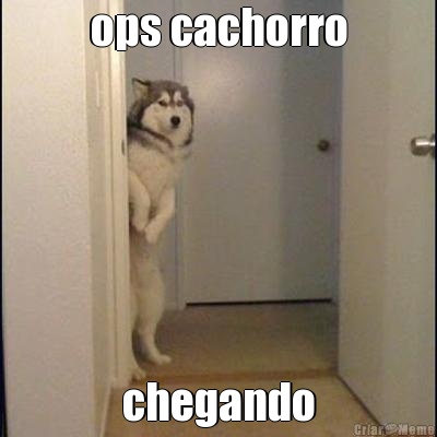 ops cachorro chegando