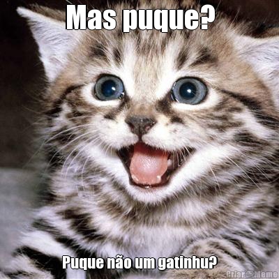 Mas puque? Puque no um gatinhu?