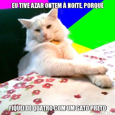 EU TIVE AZAR ONTEM  NOITE, PORQUE FIQUEI DE QUATRO COM UM GATO PRETO