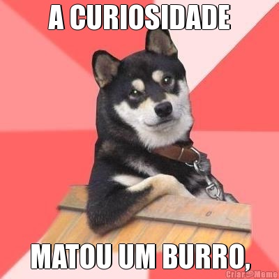 A CURIOSIDADE MATOU UM BURRO,