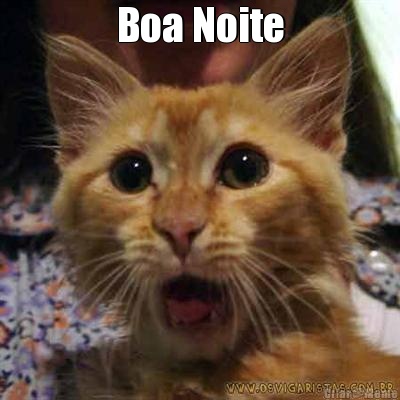 Boa Noite 