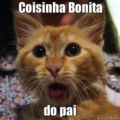 Coisinha Bonita do pai