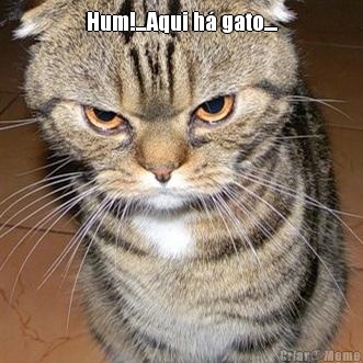 Hum!...Aqui h gato.... 