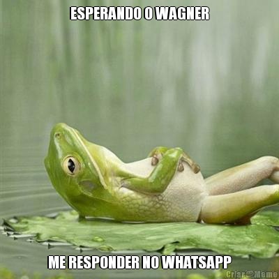 ESPERANDO O WAGNER ME RESPONDER NO WHATSAPP