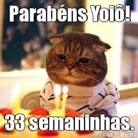 Parabns Yoi! 33 semaninhas.