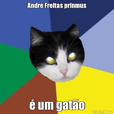 Andr Freitas prinmus  um gato