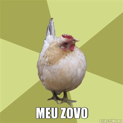  MEU ZOVO