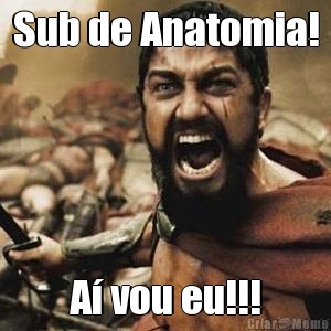 Sub de Anatomia! A vou eu!!!