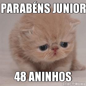 PARABNS JUNIOR 48 ANINHOS