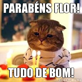 PARABNS FLOR! TUDO DE BOM!