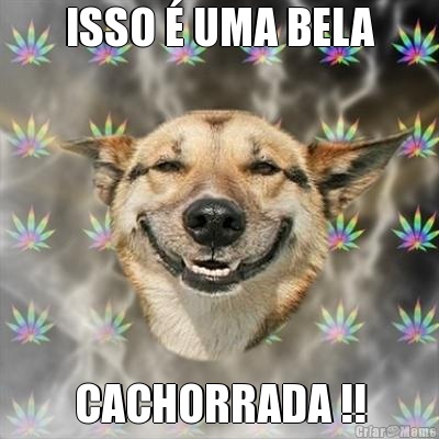 ISSO  UMA BELA CACHORRADA !!