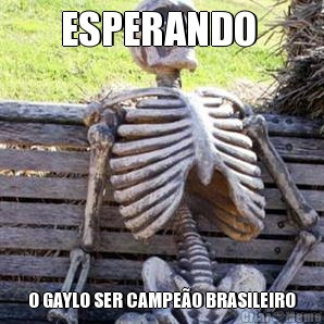 ESPERANDO  O GAYLO SER CAMPEO BRASILEIRO