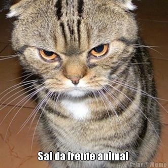  Sai da frente animal 