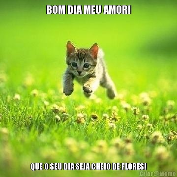 BOM DIA MEU AMOR! QUE O SEU DIA SEJA CHEIO DE FLORES!