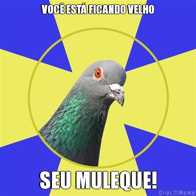 VOC EST FICANDO VELHO SEU MULEQUE!