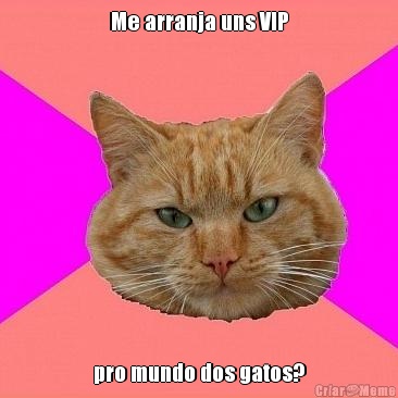 Me arranja uns VIP pro mundo dos gatos?