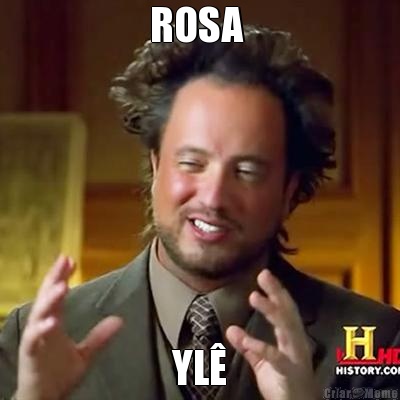 ROSA  YL