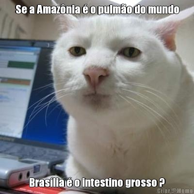 Se a Amaznia  o pulmo do mundo Braslia  o intestino grosso ?