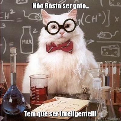 No Basta ser gato... Tem que ser inteligente!!!