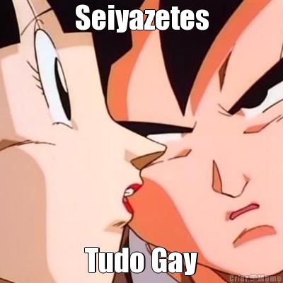 Seiyazetes Tudo Gay