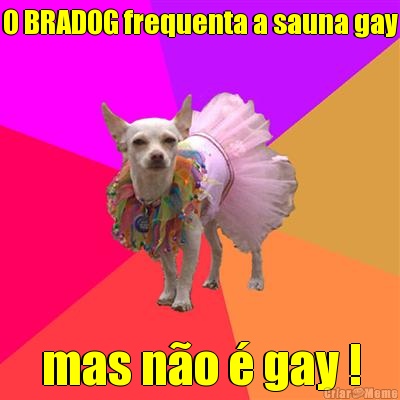 O BRADOG frequenta a sauna gay mas no  gay !