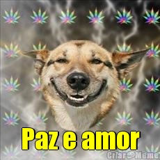  Paz e amor