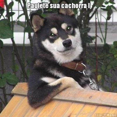 Paulete sua cachorra ! 