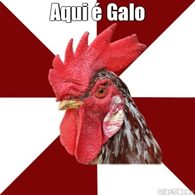 Aqui  Galo 