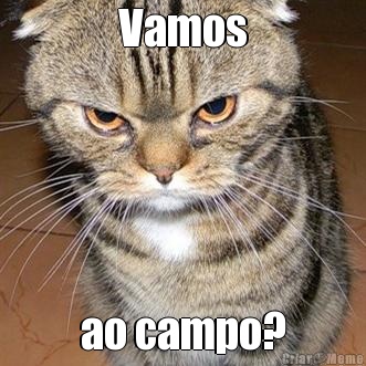 Vamos ao campo?