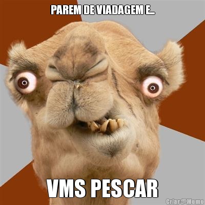 PAREM DE VIADAGEM E... VMS PESCAR