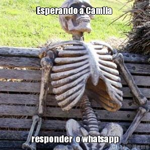 Esperando a Camila  responder  o whatsapp