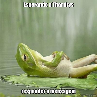 Esperando a Thamirys responder a mensagem