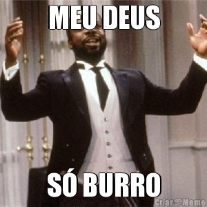 MEU DEUS S BURRO