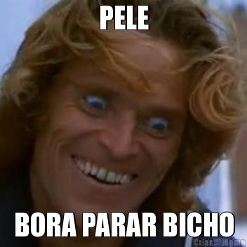 PELE BORA PARAR BICHO