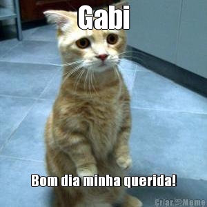 Gabi Bom dia minha querida!