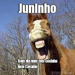 Juninho Bom dia num tem coxinha
hoje Cavalo