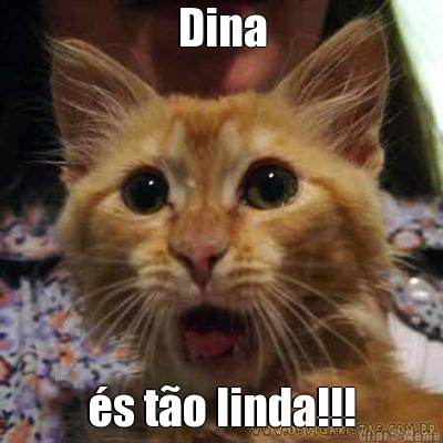 Dina s to linda!!!