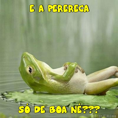 E A PERERECA S DE BOA N???