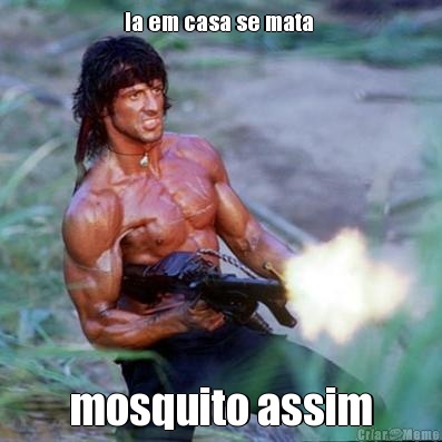 la em casa se mata  mosquito assim