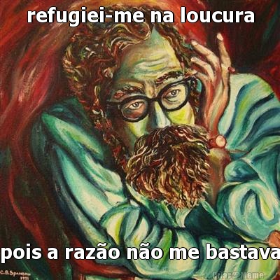 refugiei-me na loucura pois a razo no me bastava