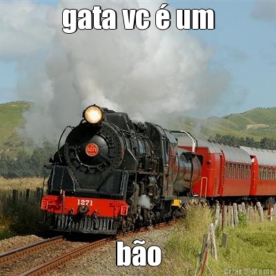 gata vc  um bo