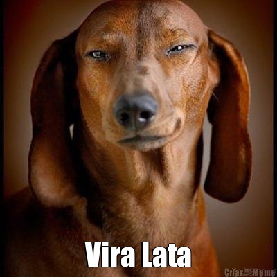  Vira Lata