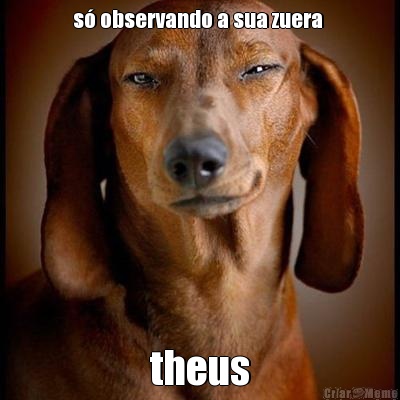 s observando a sua zuera  theus