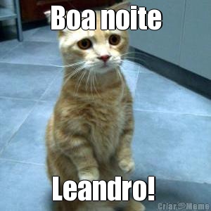 Boa noite Leandro! 