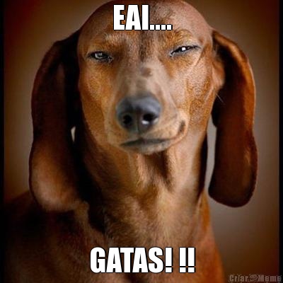 EAI.... GATAS! !!