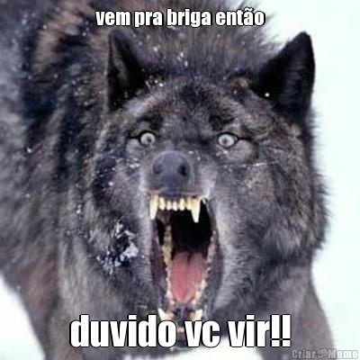 vem pra briga ento duvido vc vir!!