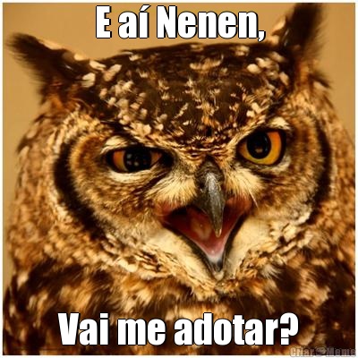 E a Nenen, Vai me adotar?