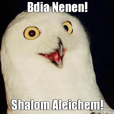 Bdia Nenen! Shalom Aleichem!