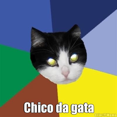  Chico da gata