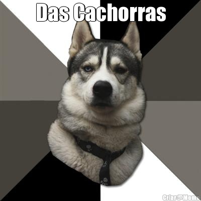 Das Cachorras 